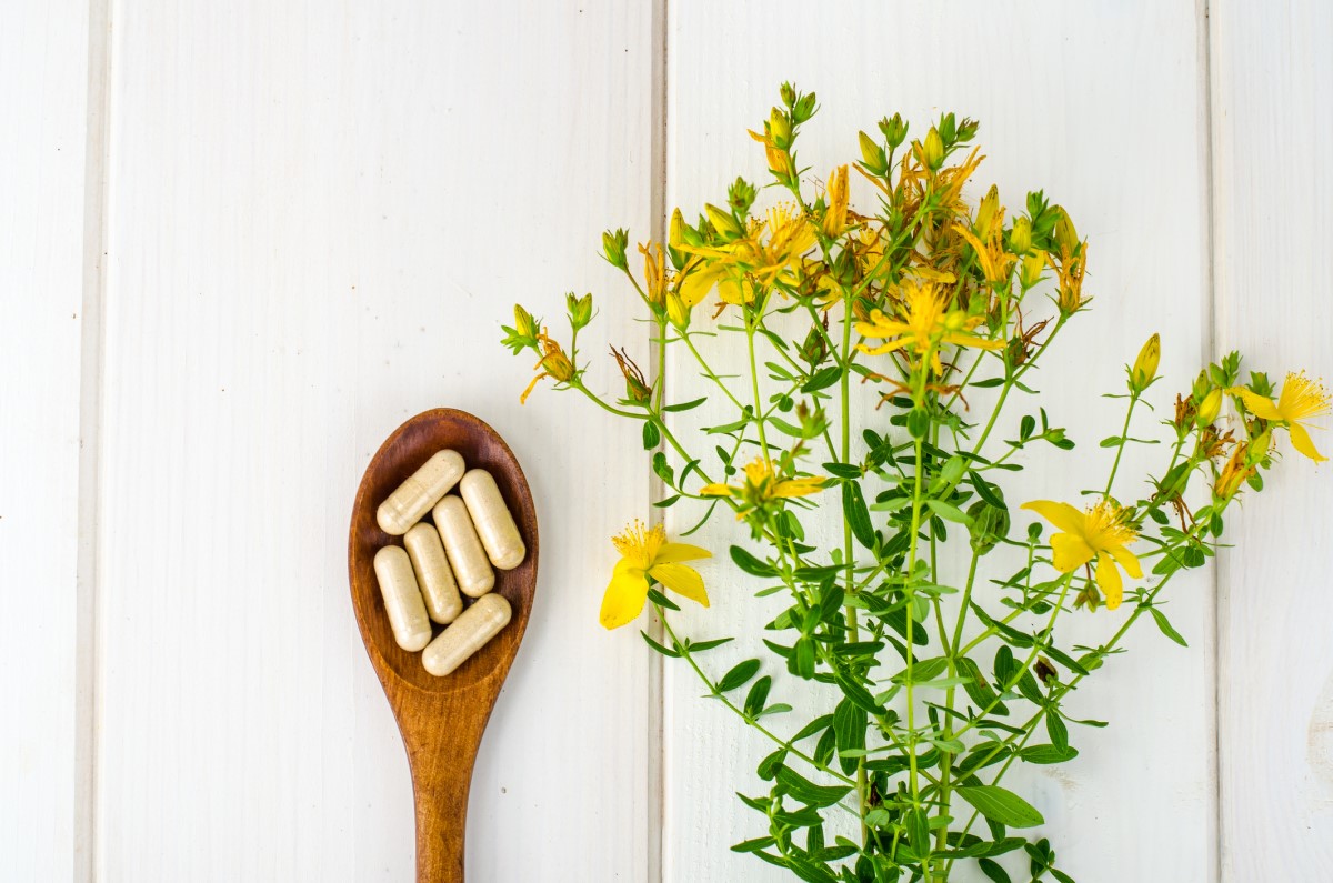 Produse fitofarmaceutice (medicamente pe bază de plante) 